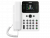 Fanvil V62W white